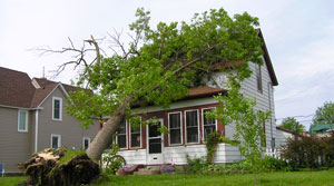 Storm Damage (Tree on House)