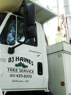 Tree Service Lift Truck