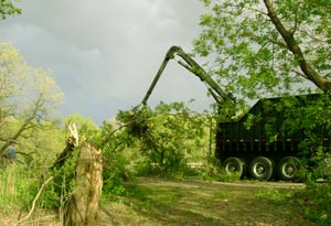 Fast Tree Service