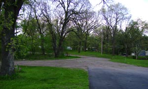 Tree Removal Clean up